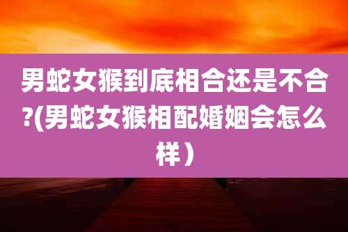 男蛇女猴到底相合还是不合?(男蛇女猴相配婚姻会怎么样)