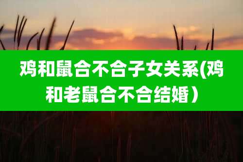 鸡和鼠合不合子女关系(鸡和老鼠合不合结婚)
