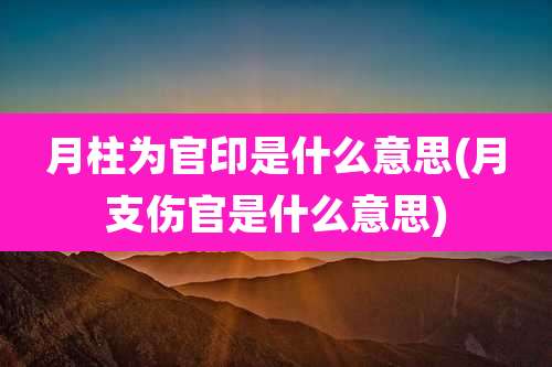 月柱为官印是什么意思(月支伤官是什么意思)