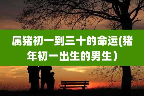 属猪初一到三十的命运(猪年初一出生的男生）