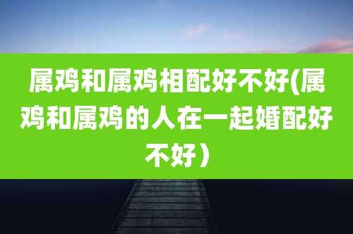 属鸡和属鸡相配好不好(属鸡和属鸡的人在一起婚配好不好)