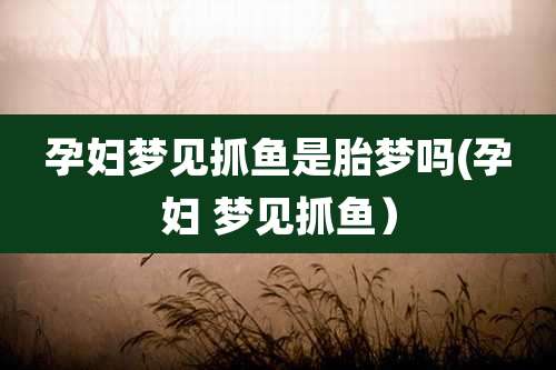 孕妇梦见抓鱼是胎梦吗(孕妇 梦见抓鱼）