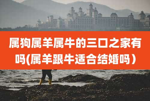 属狗属羊属牛的三口之家有吗(属羊跟牛适合结婚吗)