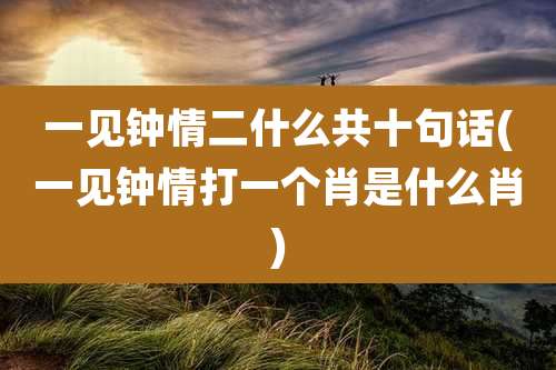 一见钟情二什么共十句话(一见钟情打一个肖是什么肖)