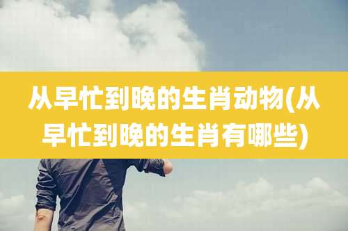 从早忙到晚的生肖动物(从早忙到晚的生肖有哪些)