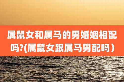 属鼠女和属马的男婚姻相配吗?(属鼠女跟属马男配吗）