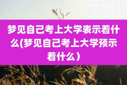 梦见自己考上大学表示着什么(梦见自己考上大学预示着什么)