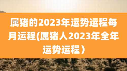 属猪的2023年运势运程每月运程(属猪人2023年全年运势运程）