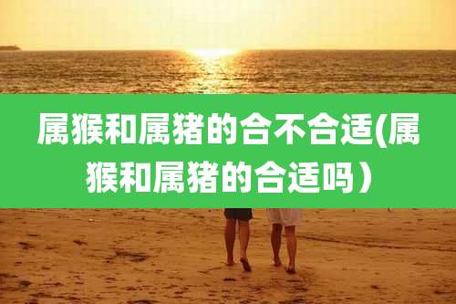 属猴和属猪的合不合适(属猴和属猪的合适吗)