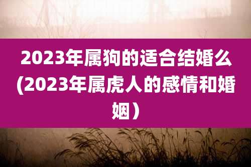2023年属狗的适合结婚么(2023年属虎人的感情和婚姻）