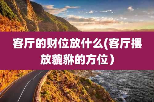 客厅的财位放什么(客厅摆放貔貅的方位）