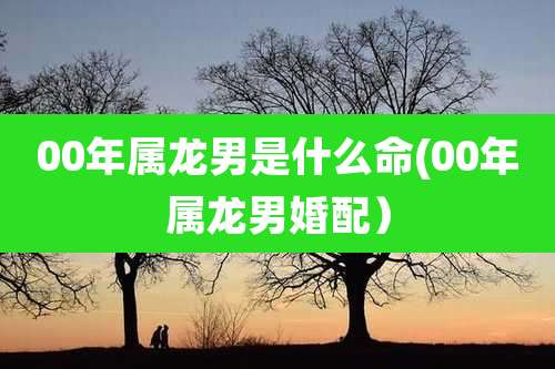 00年属龙男是什么命(00年属龙男婚配）