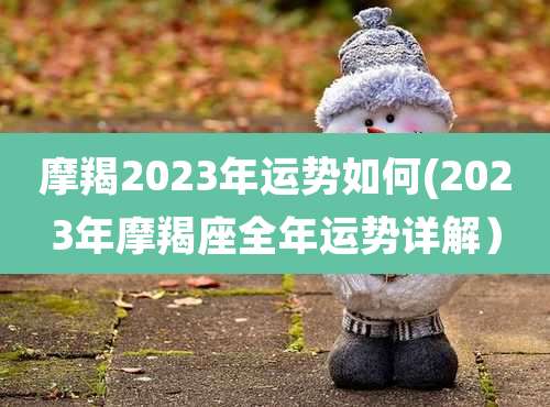 摩羯2023年运势如何(2023年摩羯座全年运势详解）
