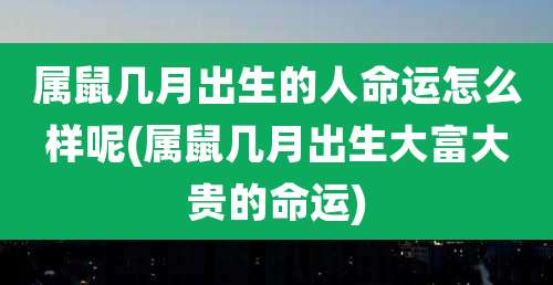 属鼠几月出生的人命运怎么样呢(属鼠几月出生大富大贵的命运)