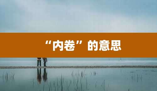 “内卷”的意思