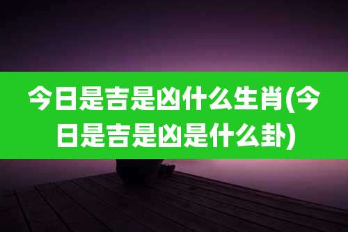 今日是吉是凶什么生肖(今日是吉是凶是什么卦)