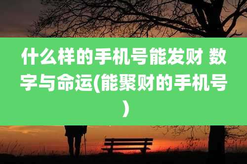 什么样的手机号能发财 数字与命运(能聚财的手机号）