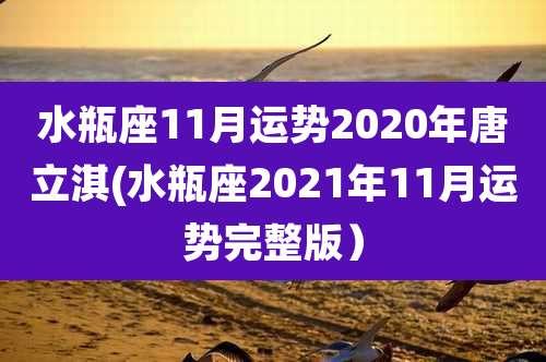 水瓶座11月运势2020年唐立淇(水瓶座2021年11月运势完整版)