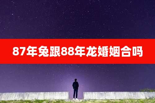87年兔跟88年龙婚姻合吗