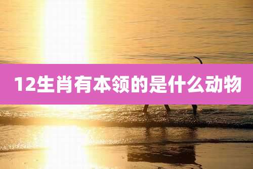 12生肖有本领的是什么动物