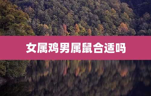 女属鸡男属鼠合适吗