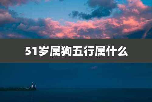 51岁属狗五行属什么