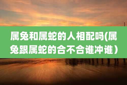 属兔和属蛇的人相配吗(属兔跟属蛇的合不合谁冲谁）