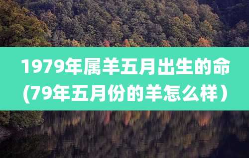 1979年属羊五月出生的命(79年五月份的羊怎么样)