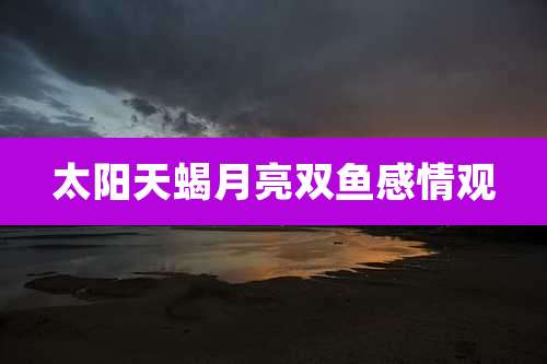 太阳天蝎月亮双鱼感情观
