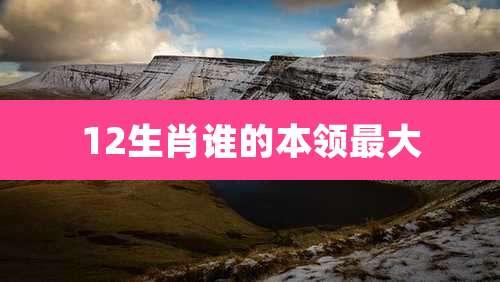 12生肖谁的本领最大