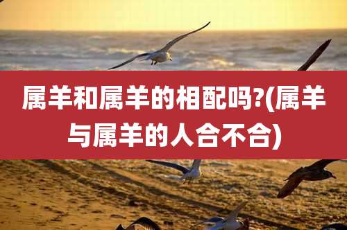 属羊和属羊的相配吗?(属羊与属羊的人合不合)