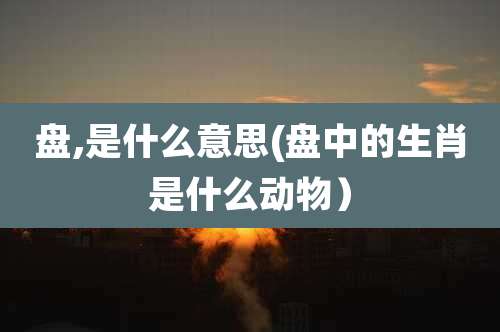 盘,是什么意思(盘中的生肖是什么动物）