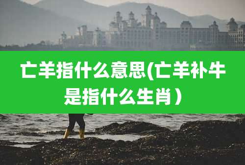 亡羊指什么意思(亡羊补牛是指什么生肖）