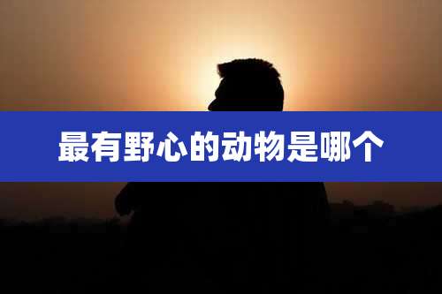 最有野心的动物是哪个