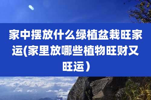 家中摆放什么绿植盆栽旺家运(家里放哪些植物旺财又旺运）