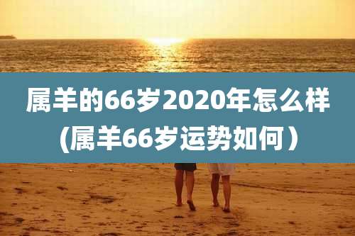 属羊的66岁2020年怎么样(属羊66岁运势如何)