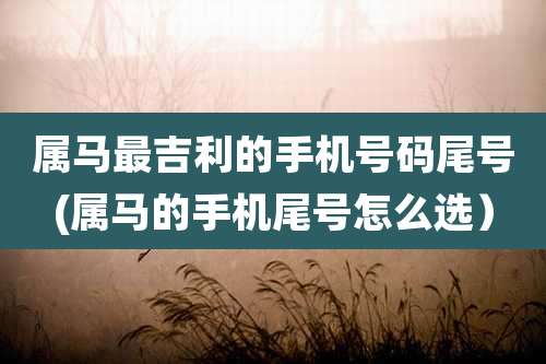 属马最吉利的手机号码尾号(属马的手机尾号怎么选）