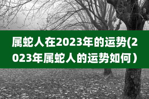 属蛇人在2023年的运势(2023年属蛇人的运势如何）