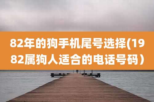 82年的狗手机尾号选择(1982属狗人适合的电话号码)