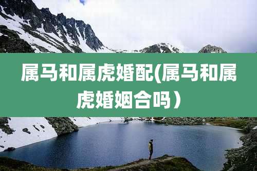 属马和属虎婚配(属马和属虎婚姻合吗)