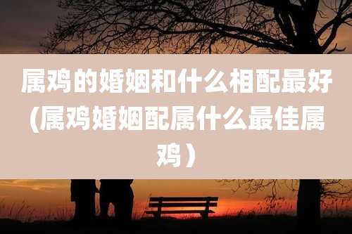 属鸡的婚姻和什么相配最好(属鸡婚姻配属什么最佳属鸡)