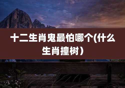 十二生肖鬼最怕哪个(什么生肖撞树)