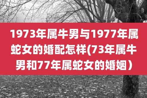 1973年属牛男与1977年属蛇女的婚配怎样(73年属牛男和77年属蛇女的婚姻）