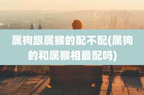 属狗跟属猴的配不配(属狗的和属猴相最配吗)