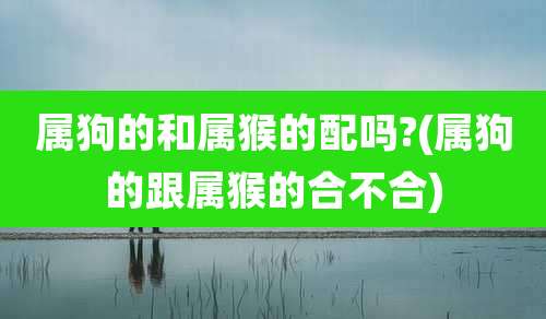 属狗的和属猴的配吗?(属狗的跟属猴的合不合)