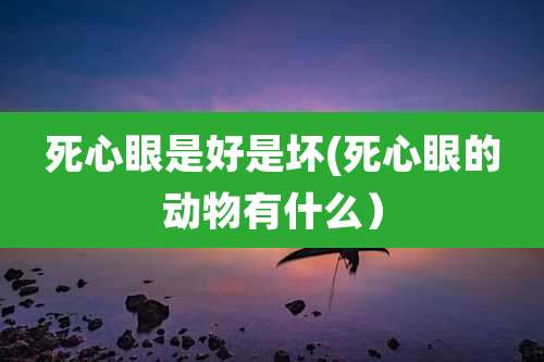 死心眼是好是坏(死心眼的动物有什么）
