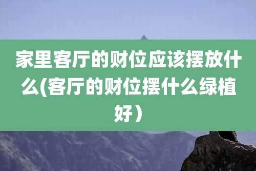 家里客厅的财位应该摆放什么(客厅的财位摆什么绿植好)