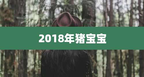 2018年猪宝宝