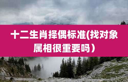 十二生肖择偶标准(找对象属相很重要吗)