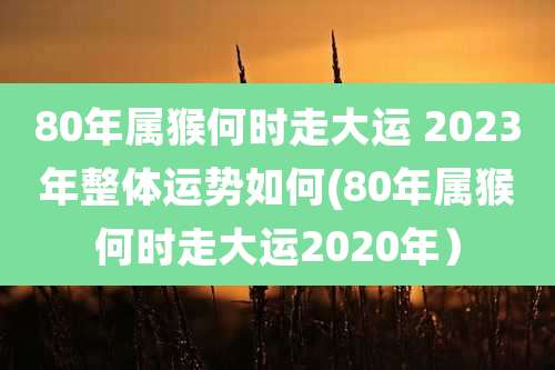 80年属猴何时走大运 2023年整体运势如何(80年属猴何时走大运2020年)